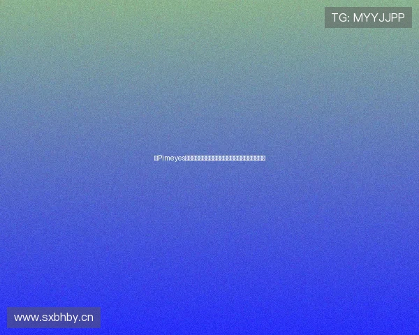 以Pimeyes为核心的人脸搜索技术原理应用方式与隐私风险解析